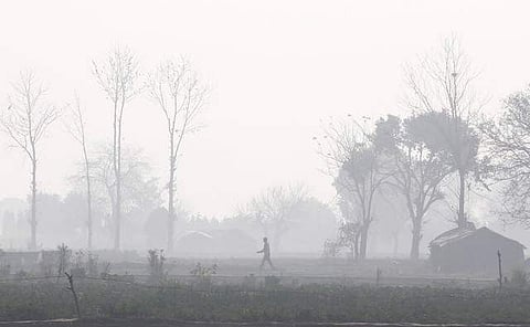 A man walks through a field amidst smog in New Delhi, India, February 7, 2018. (Photo: Reuters)