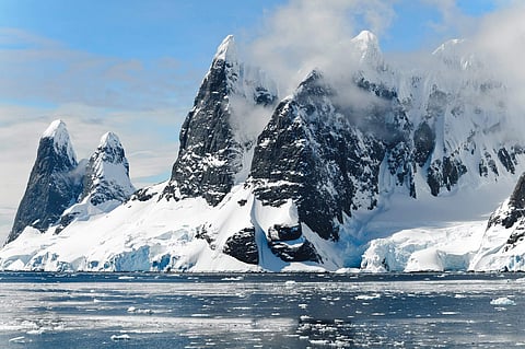 The team will investigate the area previously under the ice shelf by collecting various biological components