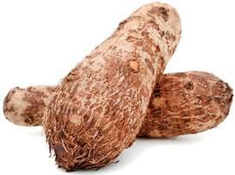 Hot and crispy garadu comes to rescue in winters