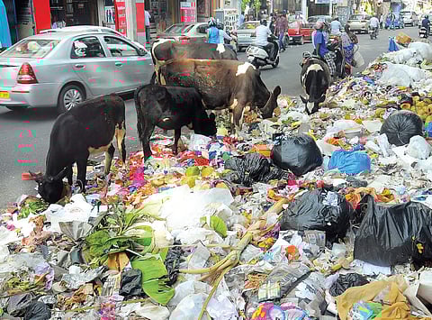 Image used for representational purpose. (Express File Photo)