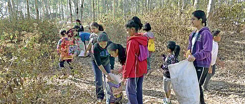 Karnataka: Women Power Saves Forest Cover