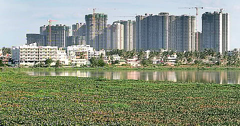 Is Varthur Lake a lost cause?