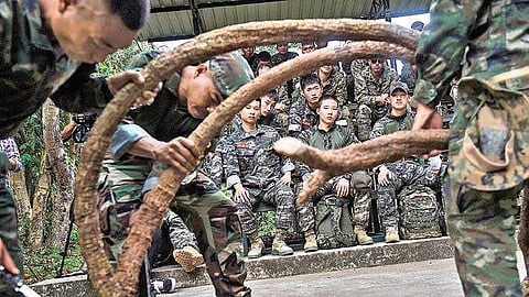 Cold blood, warm ties