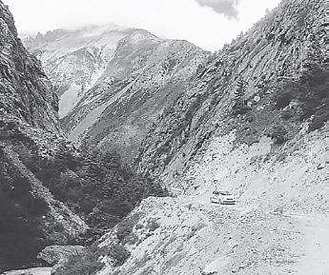 Middlemen turn rare Himalayan herbs into contraband