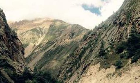 Middlemen turn rare Himalayan herbs into contraband