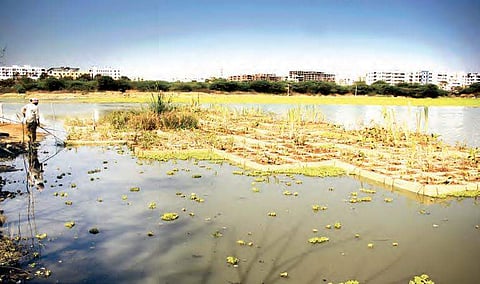 The floating island at Neknampur Lake in Hyderabad | sathya keerthi