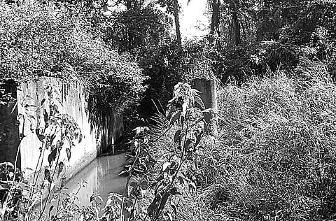 An incomplete bridge at Karlabudia village in Sambalpur district | EPS