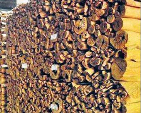 Legacy of Marayoor sandalwood helps fill up Kerala coffers