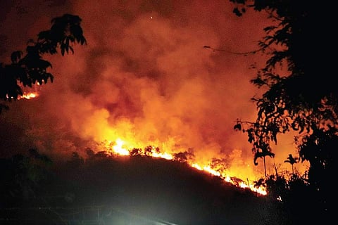 The massive forest fire in the hills near Korangani, in Theni district on Sunday night. (File Photo | EPS)