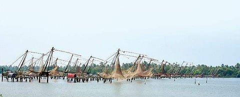 The backwaters of Edakochi beckon