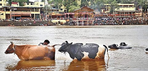 Government brings back old hand to push Ganga cleaning project