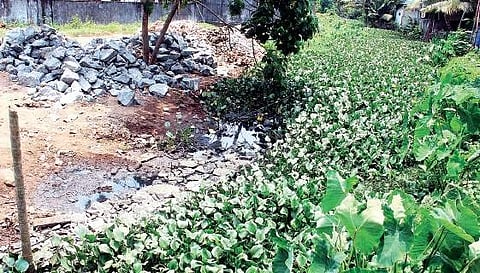 Rock and soil have been used to fill a portion of Punchathodu canal Melton Antony