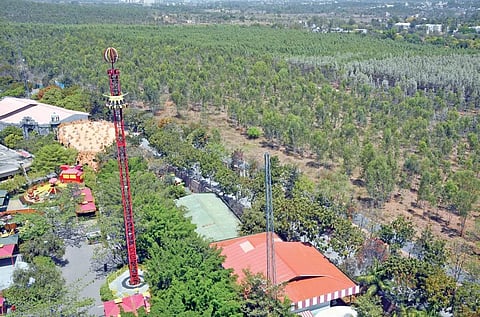 The area around Wonderla amusement park is an ideal habitat for leopards | Nagaraja Gadekal