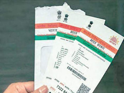 Aadhaar cards.