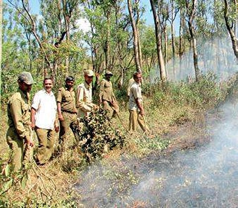 Fire watchers prepare fire lines in a forest area | G VEERESH