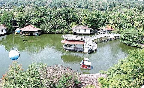 An aerial view of Mango Meadows Agricultural park, an artificial forest developed by N K Kurian at Ayamkudi | VISHNU PRATHAP