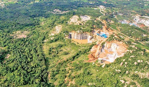 While activists say satellite images show mining activity in the buffer zone of the park, forest officials vehemently deny it