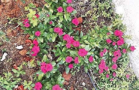 Life lessons you can learn from a 200-square yard in Hyderabad