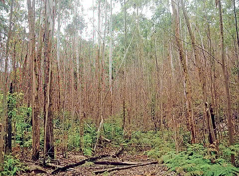 Image for representational purpose only.