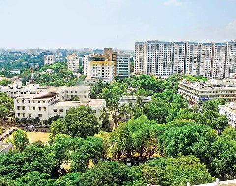 Grow your trees in Tamil Nadu with android application