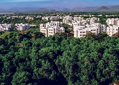 Vijayawada administration has decided to develop greenery between Vijayawada airport in Gannavaram