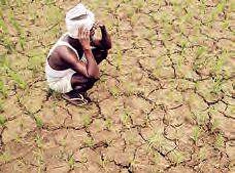 of the 23 drought-hit mandals , 15 are from Kadapa district and eight in Anantapur district.