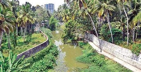 A portion of Killi River B P Deepu