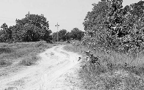 Seven Rengali villages await road network