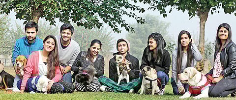 Teams from the south civic body will go out on a door-to-door survey for reaching out to pet dog owners | shekhar yadav