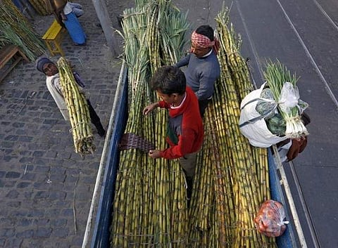 Labourers load sugarcane into a load carrier at a wholesale sugarcane market in Kolkata. | REUTERS
