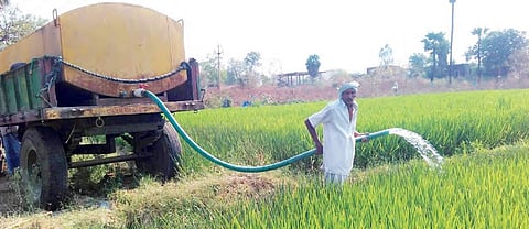 Ettem Mallaiah, a farmer, irrigating his paddy field using a hired water tanker in Velichala village of Karimnagar district on Sunday| Express photo