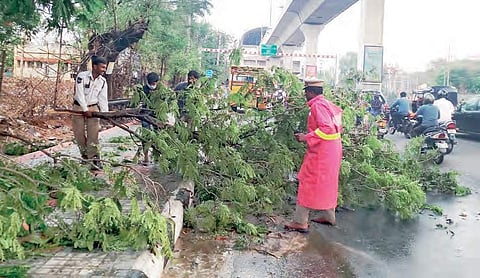 Cops help GHMC staff remove the uprooted trees near Genpact office in Uppal