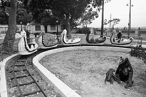 Toy train chugs at Sambalpur