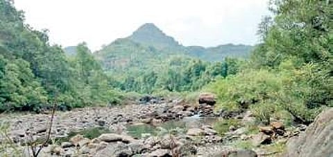 Hubballi-Ankola railway line hits roadblock as tiger authority says no to project