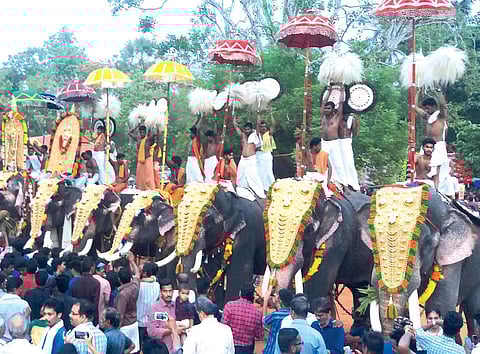 Elephants being paraded for a pooram (file pic)