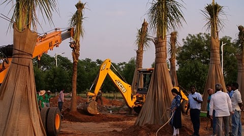 tree2065640