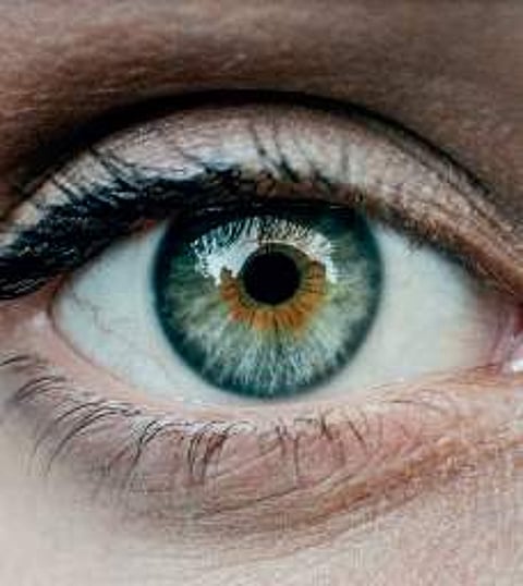 To see clearly before it’s too late