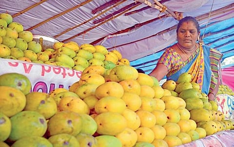 The Mango Mela is held annually at Palace Grounds | PUSHKAR V