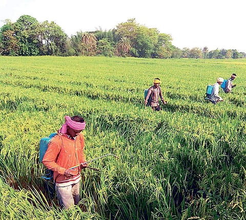 Image used for representational purpose.