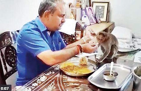 JD(S) man has a monkey over for breakfast