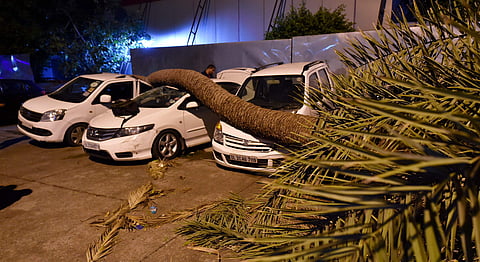 A palm tree trunk fell on cars during dust storm in New Delhi on Sunday, 13 May 2018. | PTI