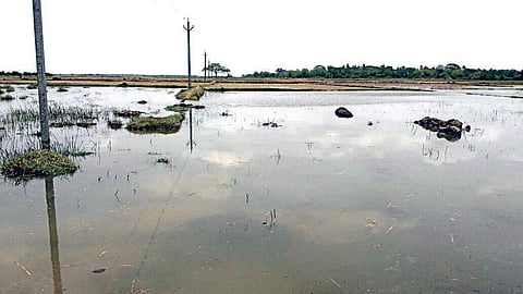 Tidal waves flood 4000 acres of land in Odisha's Kendrapara district | EPS