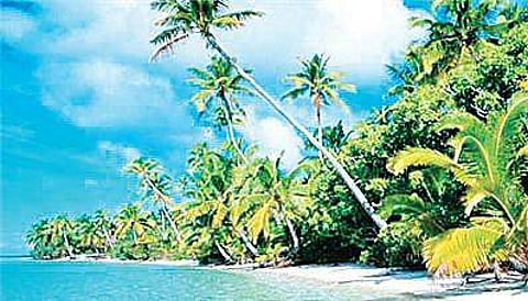 As per the statistics available, the total cropped area in Lakshadweep was 2,750 hectares in 2013-14 compared to 2,520 hectares in 2008-09.