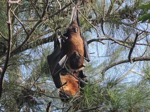 Image for representational purpose only.