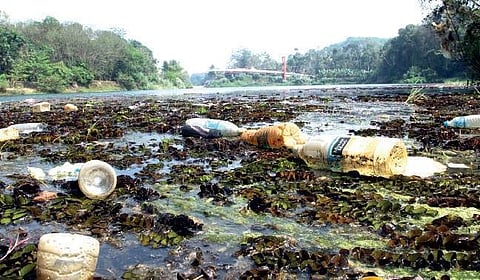 Plastic bottles floating in Piravom puzha | Melton Antony