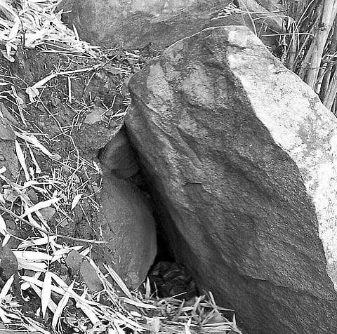 The cave in Bhejangwada reserve forest within Kalimela police limits from where BSF personnel recovered hidden explosives on Monday | Express