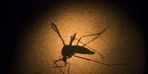 Image for representational purpose only. |AP