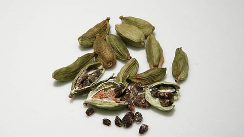 They allegedly roped in others and planned the armed robbery with the help of a masked gang.