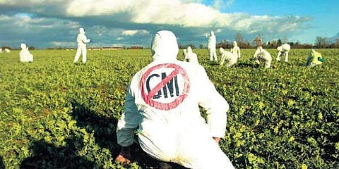 Image used for representational purpose.