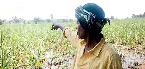 Image used for representational purpose.